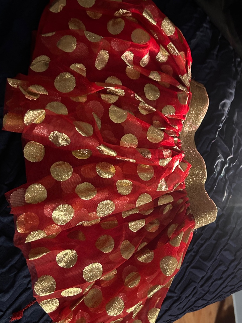 Disney Red and Gold Polka Dot Tulle Skirt
